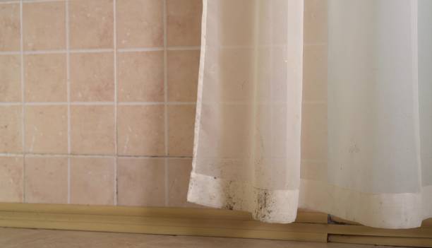 Best Mold-Related Health Consultation  in Draper, UT