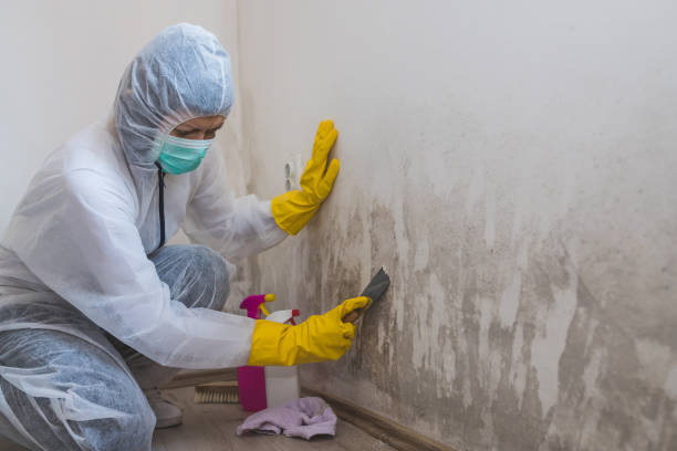 Draper, UT Mold Removal Company