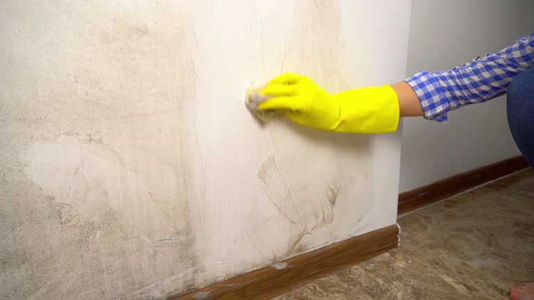 Best Commercial Mold Inspection  in Draper, UT