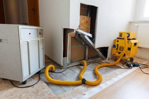 Best Residential Mold Inspection & Testing  in Draper, UT