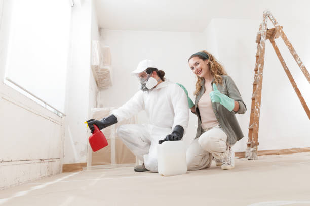 Biohazard Mold Removal in Draper, UT