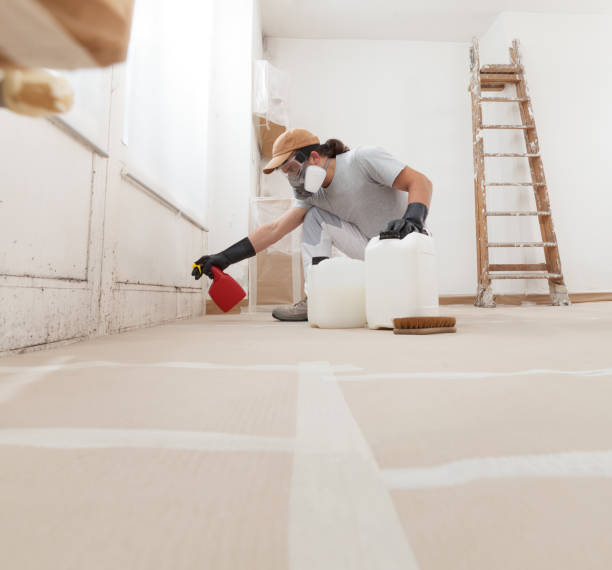 Best Post-Construction Mold Inspection  in Draper, UT
